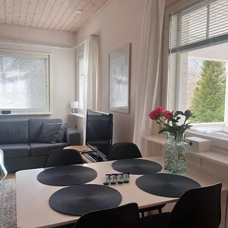 Omakotitalo Jyvaeskylaessae Daire Jyväskylä